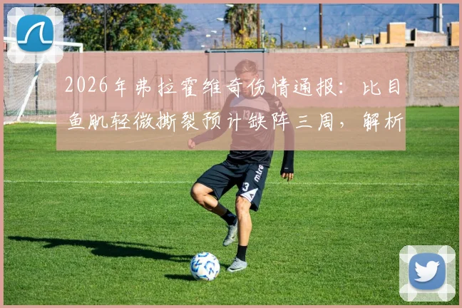 2026年弗拉霍维奇伤情通报：比目鱼肌轻微撕裂预计缺阵三周，解析尤文锋线应对方案